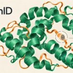 SynthID Bio junto a una proteína de cintas verdes y naranjas con una señal gráfica de identificación