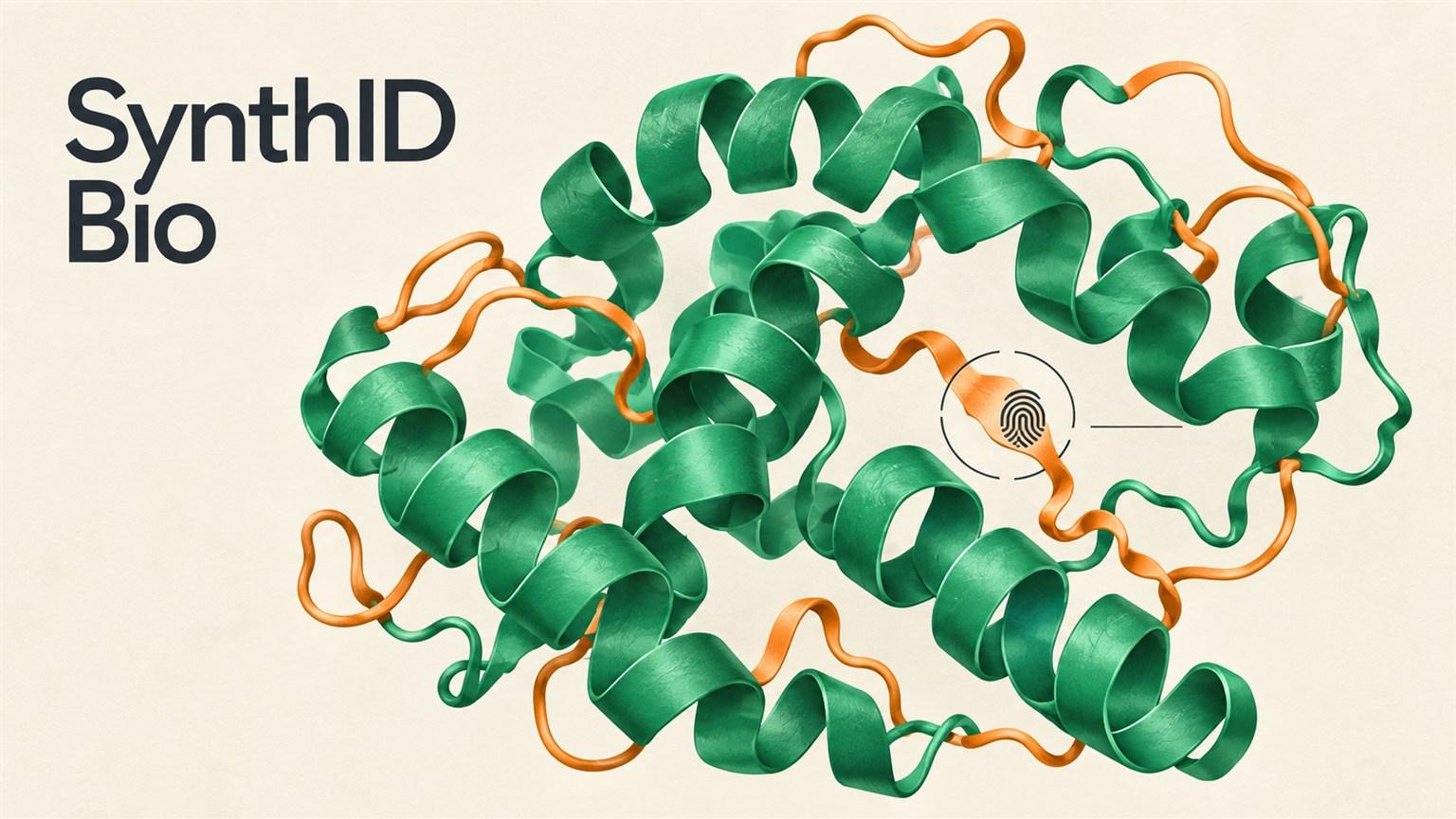 SynthID Bio junto a una proteína de cintas verdes y naranjas con una señal gráfica de identificación